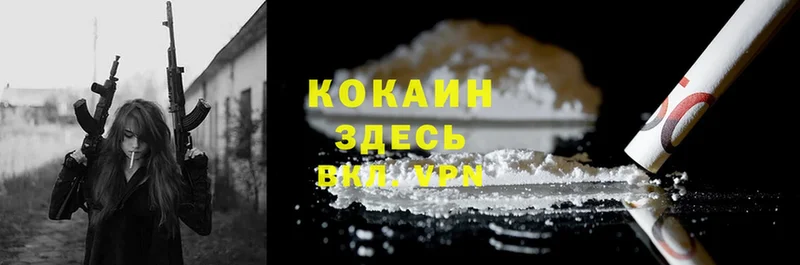 COCAIN Fish Scale  Кущёвская 